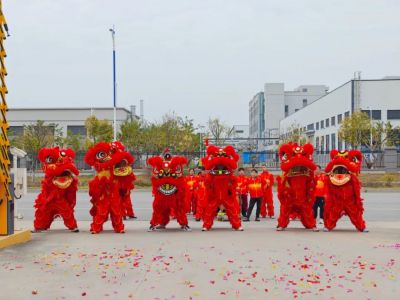 【开工大吉】新年新气象，醒狮喝彩，火力全开！